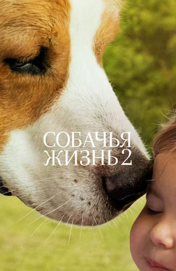 Фильм Собачья жизнь 2 2019 смотреть онлайн с Генри Лау и Бетти Гилпин